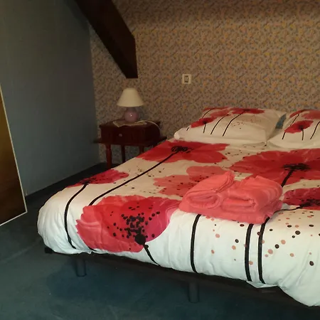 Le Curieux De Conques B&B 3*