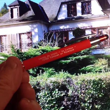 فندق مبيت وإفطار Le Curieux De Conques 3*