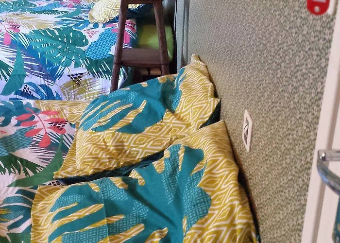 Le Curieux De Conques Frühstückspension Saint-Cyprien-sur-Dourdou