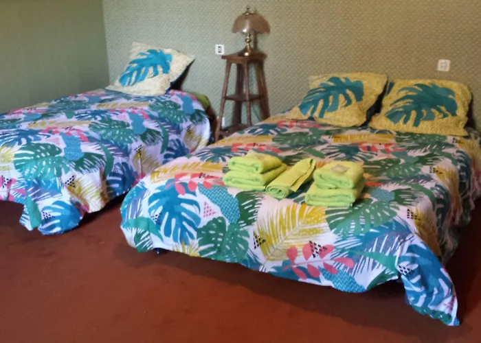 Le Curieux De Conques Frühstückspension Saint-Cyprien-sur-Dourdou