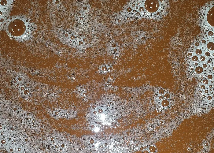 Frühstückspension Le Curieux De Conques Saint-Cyprien-sur-Dourdou