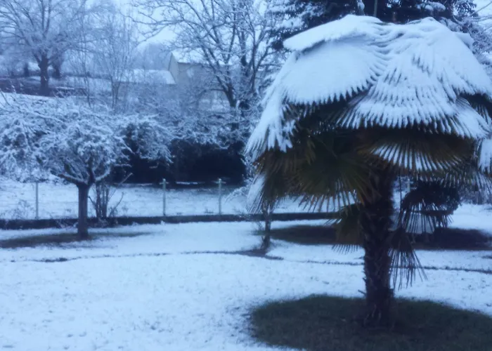 Frühstückspension Le Curieux De Conques Saint-Cyprien-sur-Dourdou