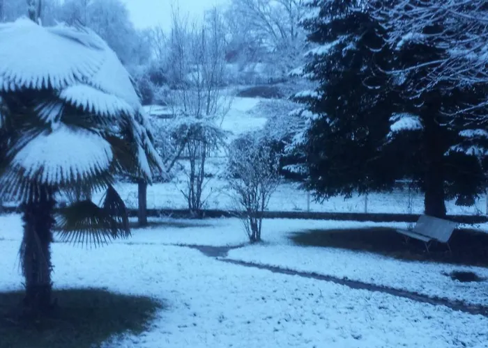 Le Curieux De Conques Frühstückspension
