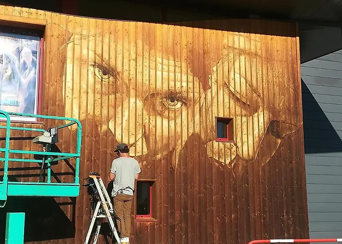 Frühstückspension Le Curieux De Conques 3*